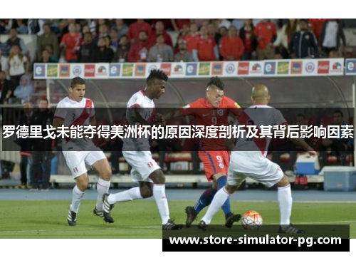 罗德里戈未能夺得美洲杯的原因深度剖析及其背后影响因素