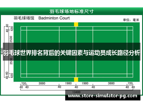 羽毛球世界排名背后的关键因素与运动员成长路径分析