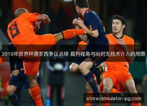 2010年世界杯德罗西争议点球 裁判视角与当时无技术介入的局限